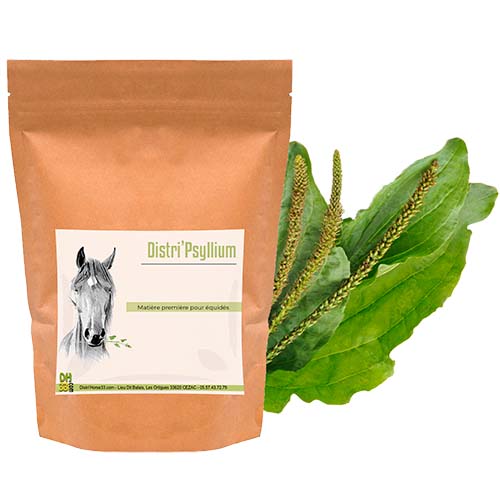 Psyllium pour cheval